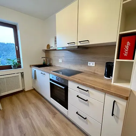 Marx Apartment Punderich